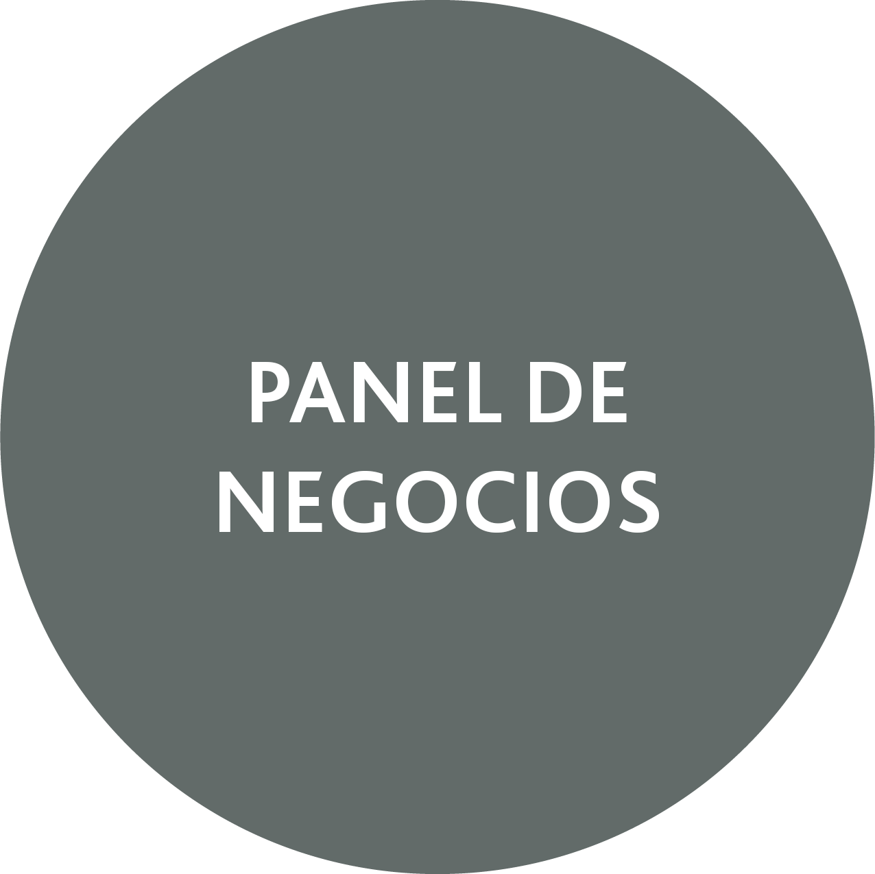 Panel de negocios